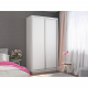 Шкаф-купе Экспресс Хит-ДСП, 120х60х220 Белый